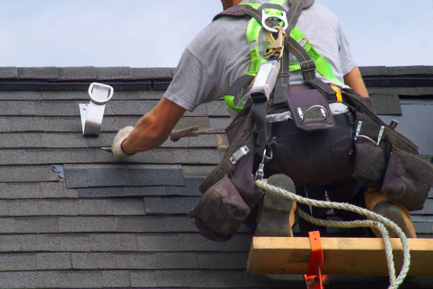 Roof Gutter Cleaning in Germantown, IL