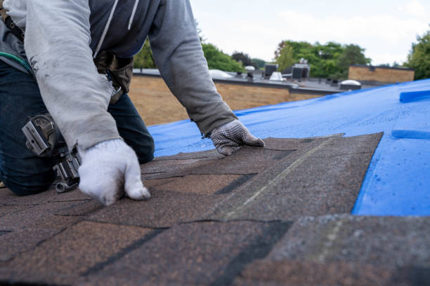 Roof Waterproofing Services in Germantown, IL