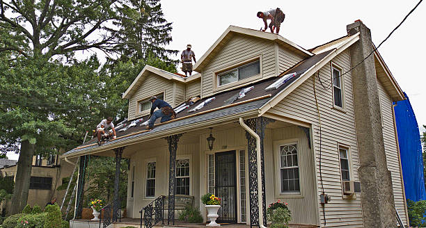 Best Roof Gutter Cleaning  in Germantown, IL